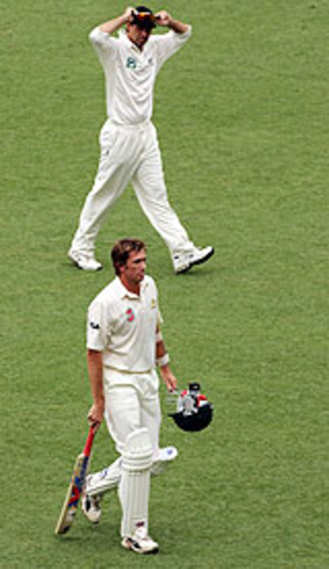 Stephen Fleming watches Glenn McGrath leaving the field , Australia v New Zealand, 1st Test, Brisbane, November 21, 2004