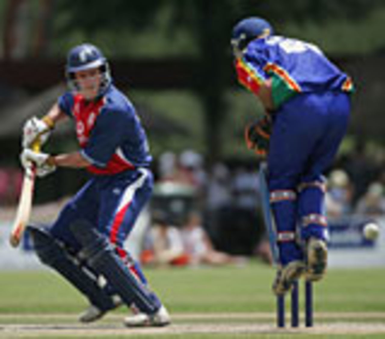 Andrew Hall celebrates his century | ESPNcricinfo.com