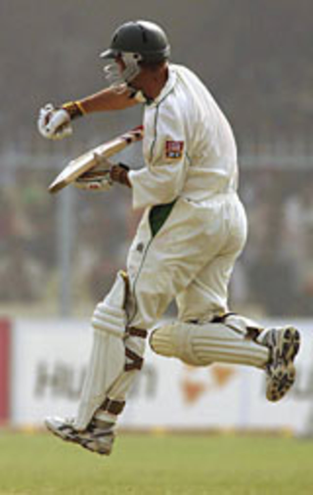 Andrew Hall celebrates his century, India v South Africa, Kanpur, 1st Test, November 21 2004