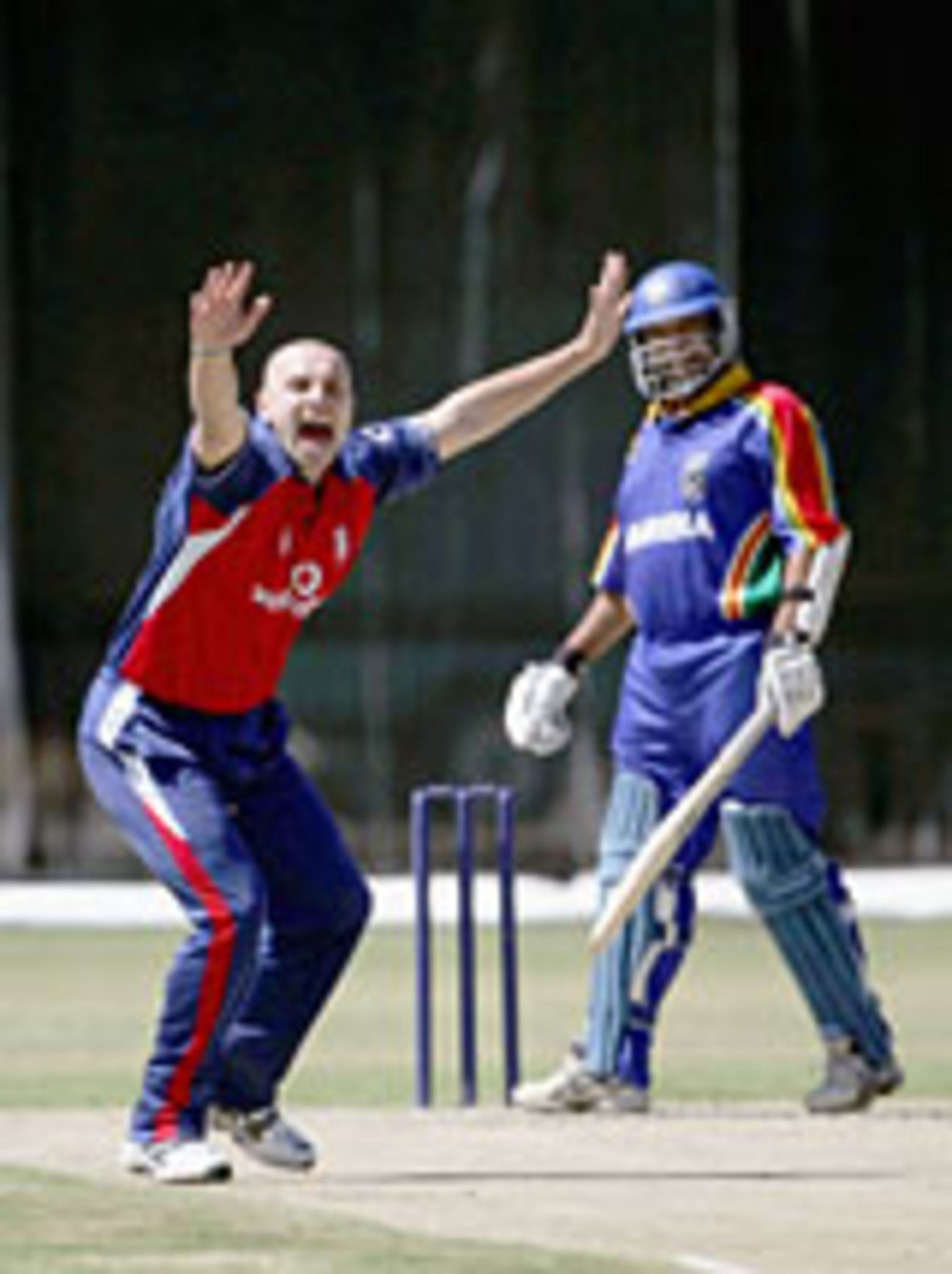 Alex Wharf appeals during the second one-day match, Namibia v England, November 23 2004