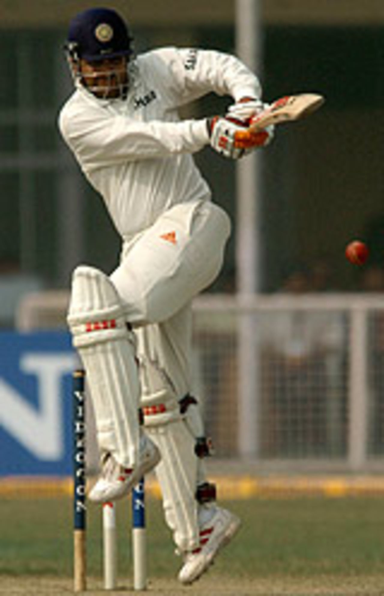 Virender Sehwag tonks one to leg, India v South Africa, 1st Test, Kanpur, 4th day, November 23, 2004