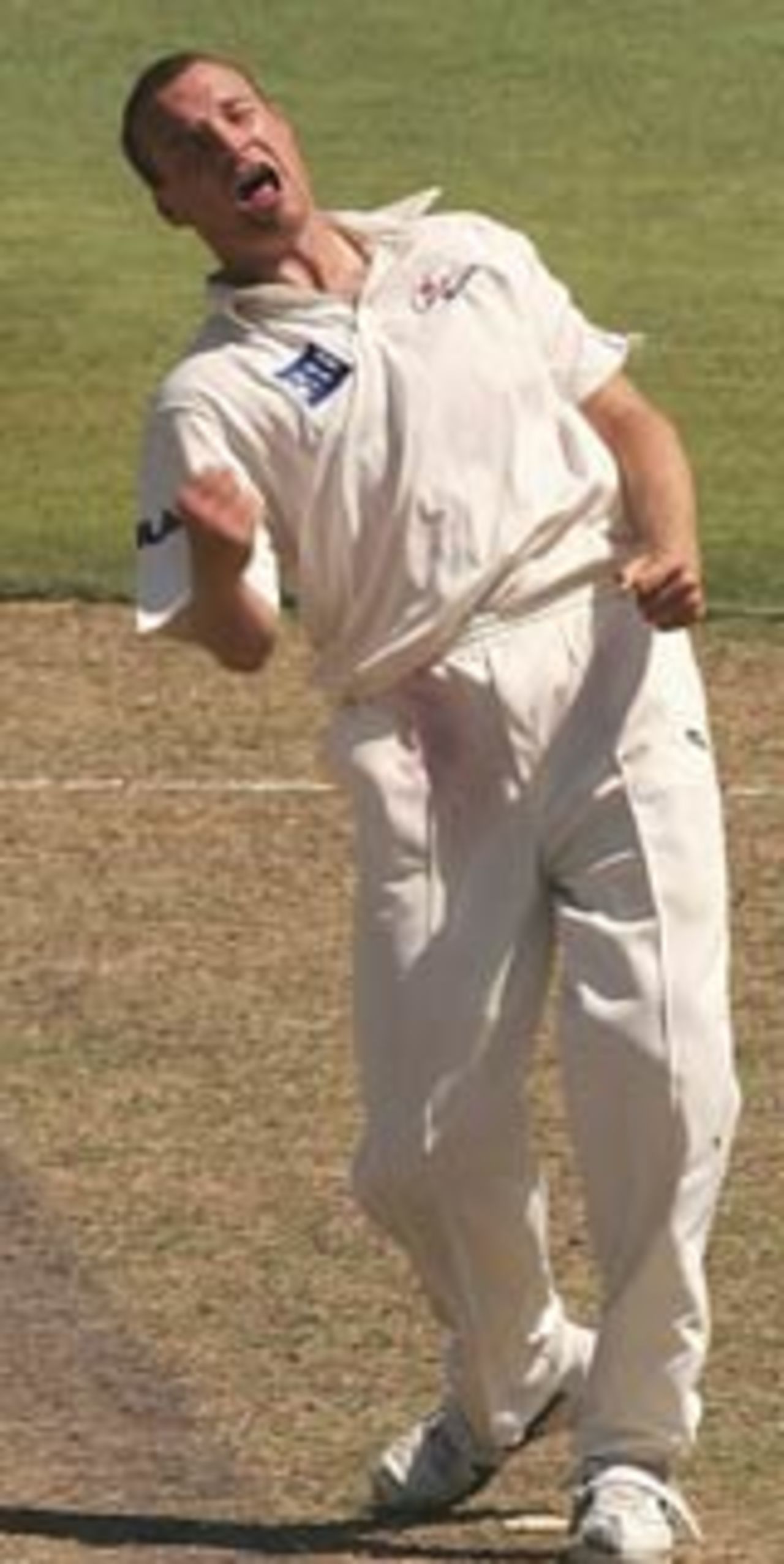 Stuart Clark celebrates a dismissal, New South Wales v Victoria, Pura Cup, 3rd day, Melbourne, Novemver 25, 2004