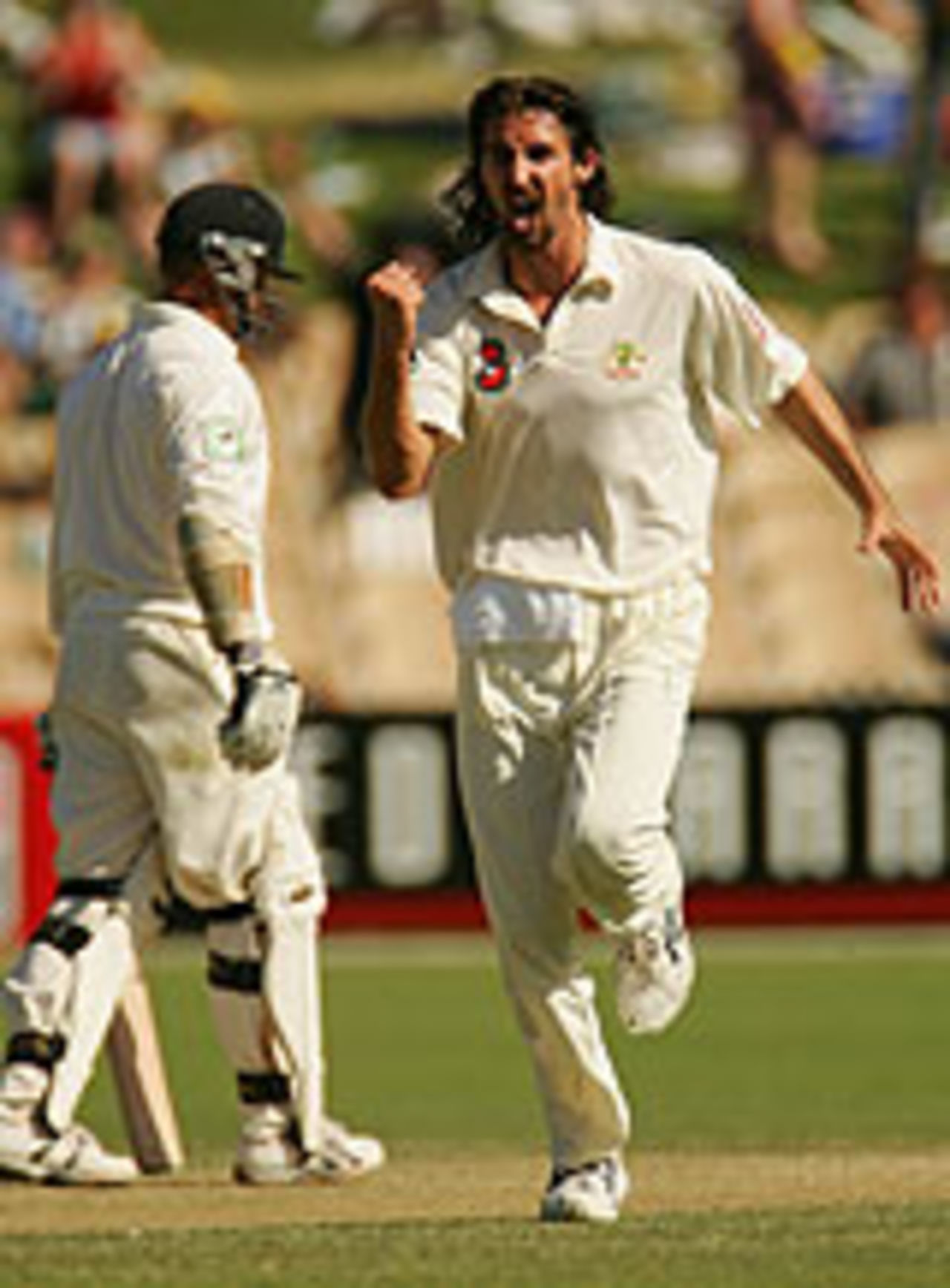Jason Gillespie celebrates the wicket of Mathew Sinclair, during his half-century on the second day of the Adelaide Test, Australia v New Zealand, 2nd Test, Adelaide, November 27, 2004