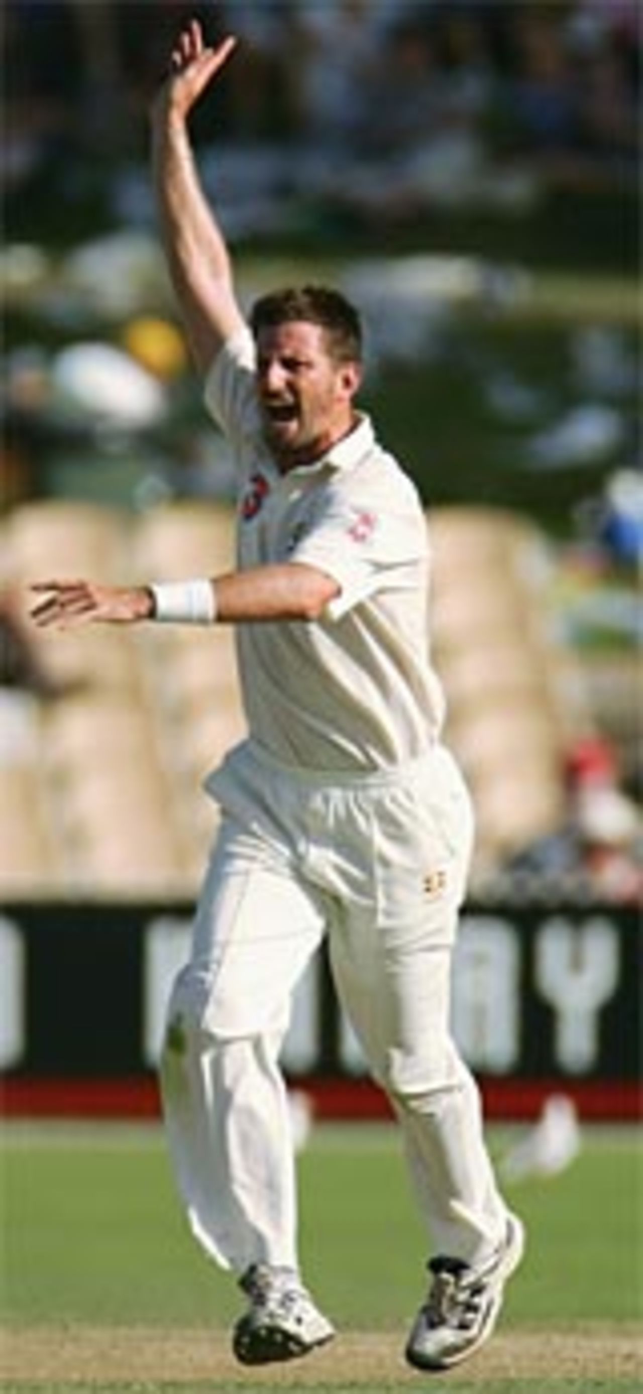 Michael Kasprowicz dismisses Mark Richardson, Australia v New Zealand, 2nd Test, Adelaide, November 27, 2004