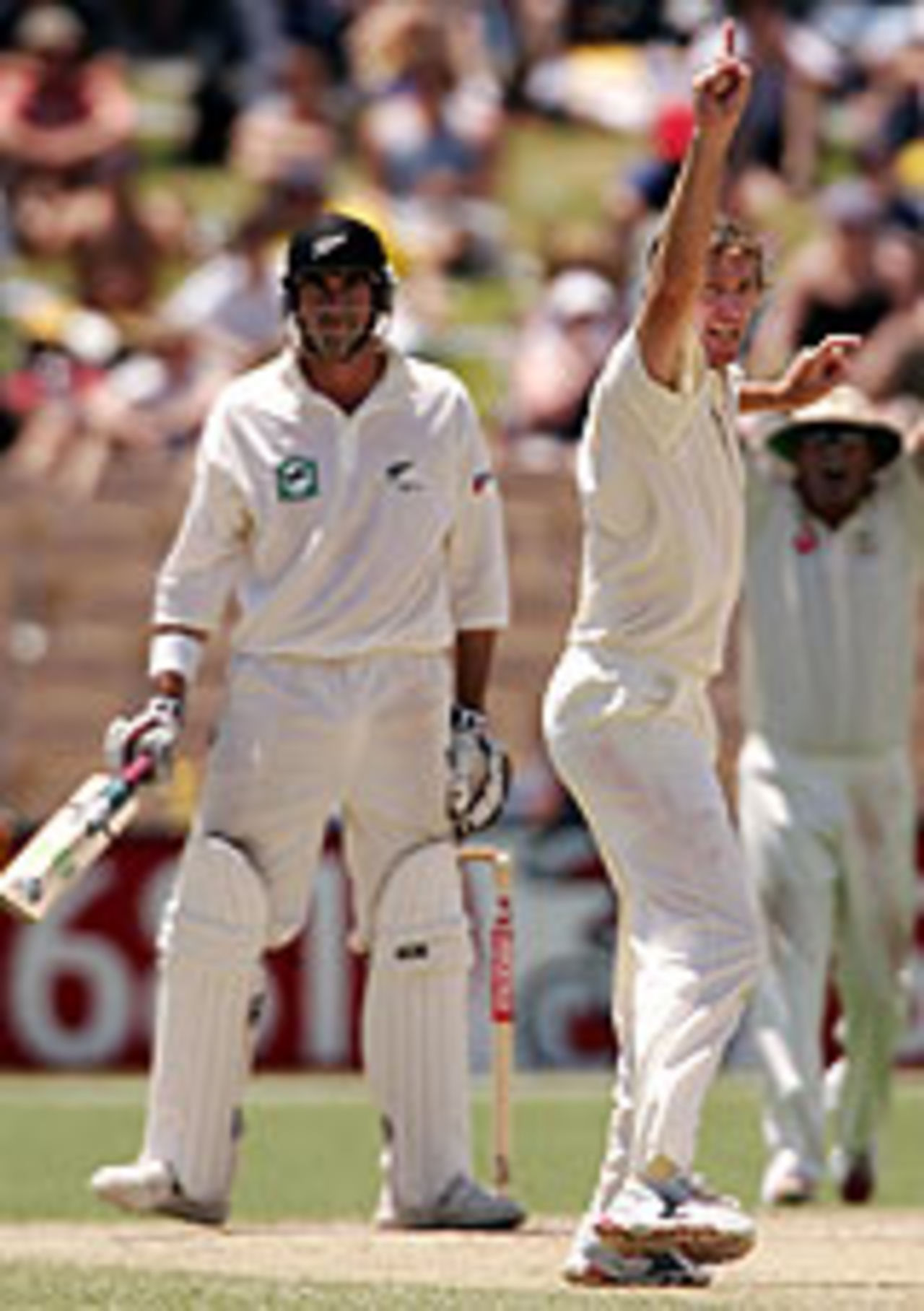 Glenn McGrath grabs the crucial wicket of Stephen Fleming, as New Zealand slump after lunch on the third day at Adelaide, 2nd Test, Adelaide, November 27, 2004