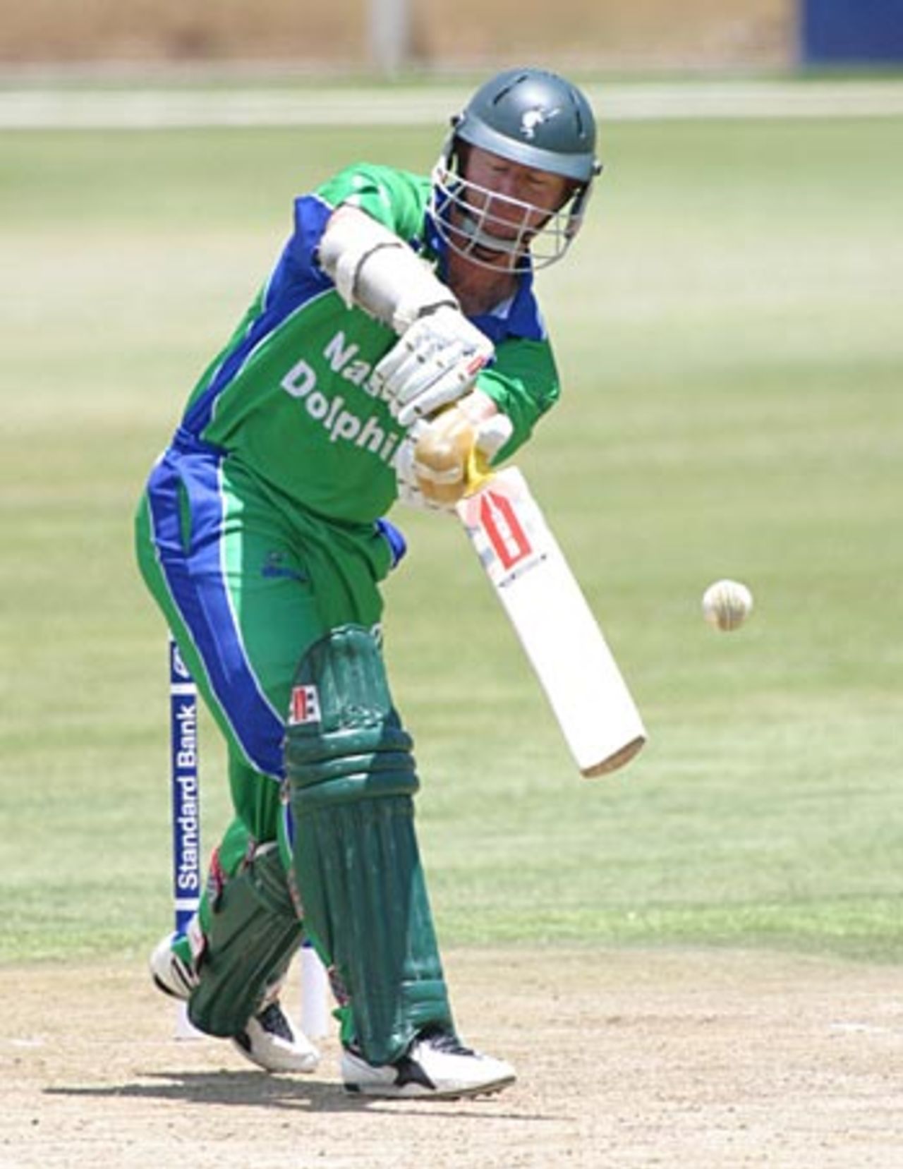 Lance Klusener on the way to a run-a-ball 30, Titans v Dolphins, Standard Bank Cup, Willowmoore Park, November 28, 2004