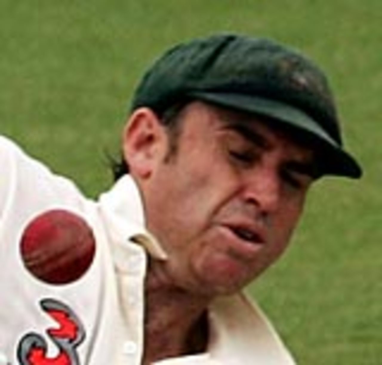 Matthew Hayden takes it on the chin, Australia v New Zealand, 2nd Test, Adelaide, November 29, 2004
