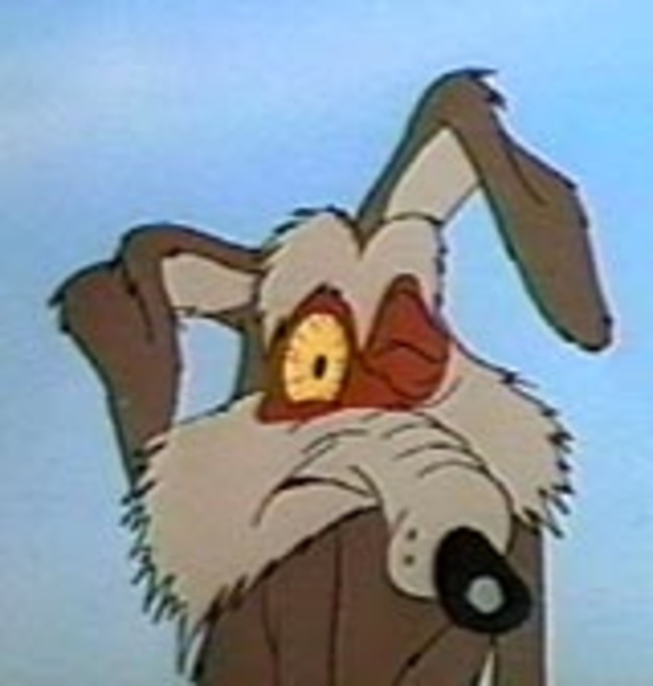 Wile E. Coyote