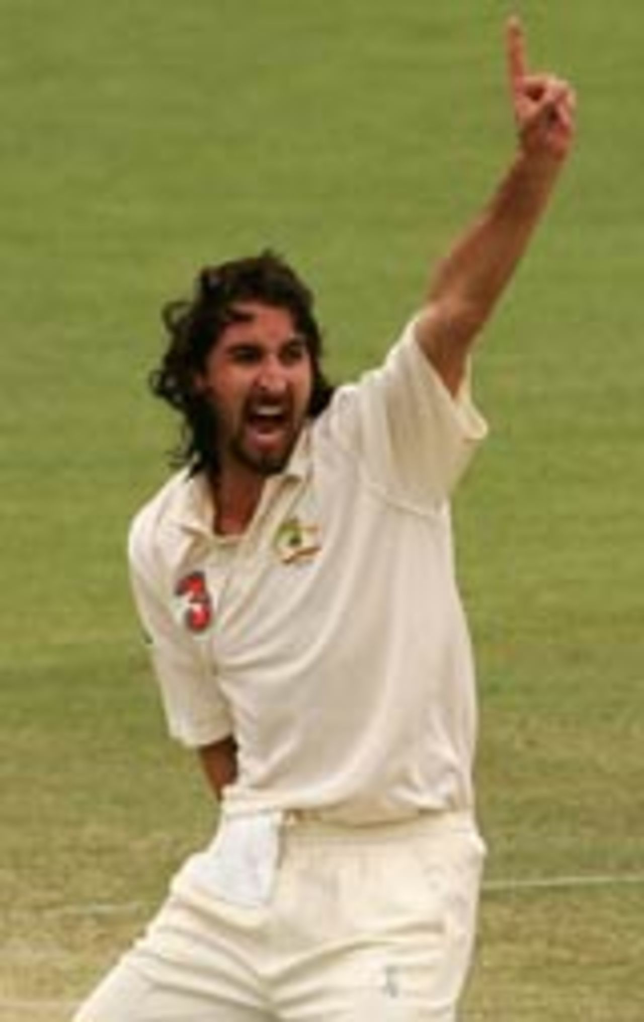 Jason Gillespie knows he's got his man, Australia v New Zealand, 2nd Test, Adelaide, November 29, 2004