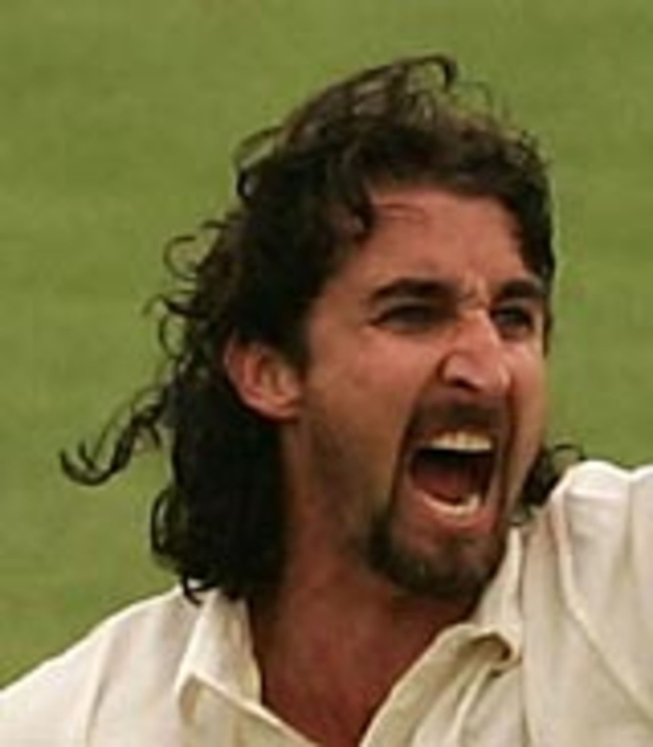 Jason Gillespie appealing, Australia v New Zealand, 2nd Test, Adelaide, November 29, 2004