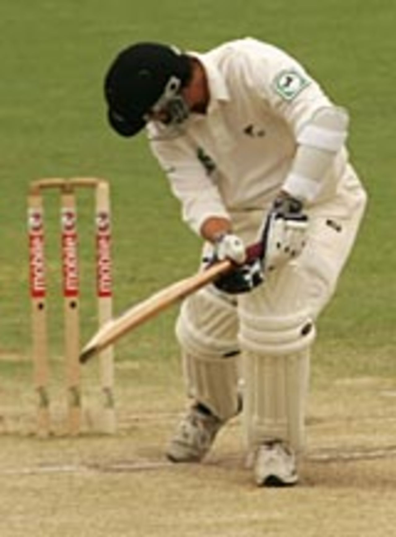 Mathew Sinclair falls leg-before, Australia v New Zealand, 2nd Test, Adelaide, November 29, 2004