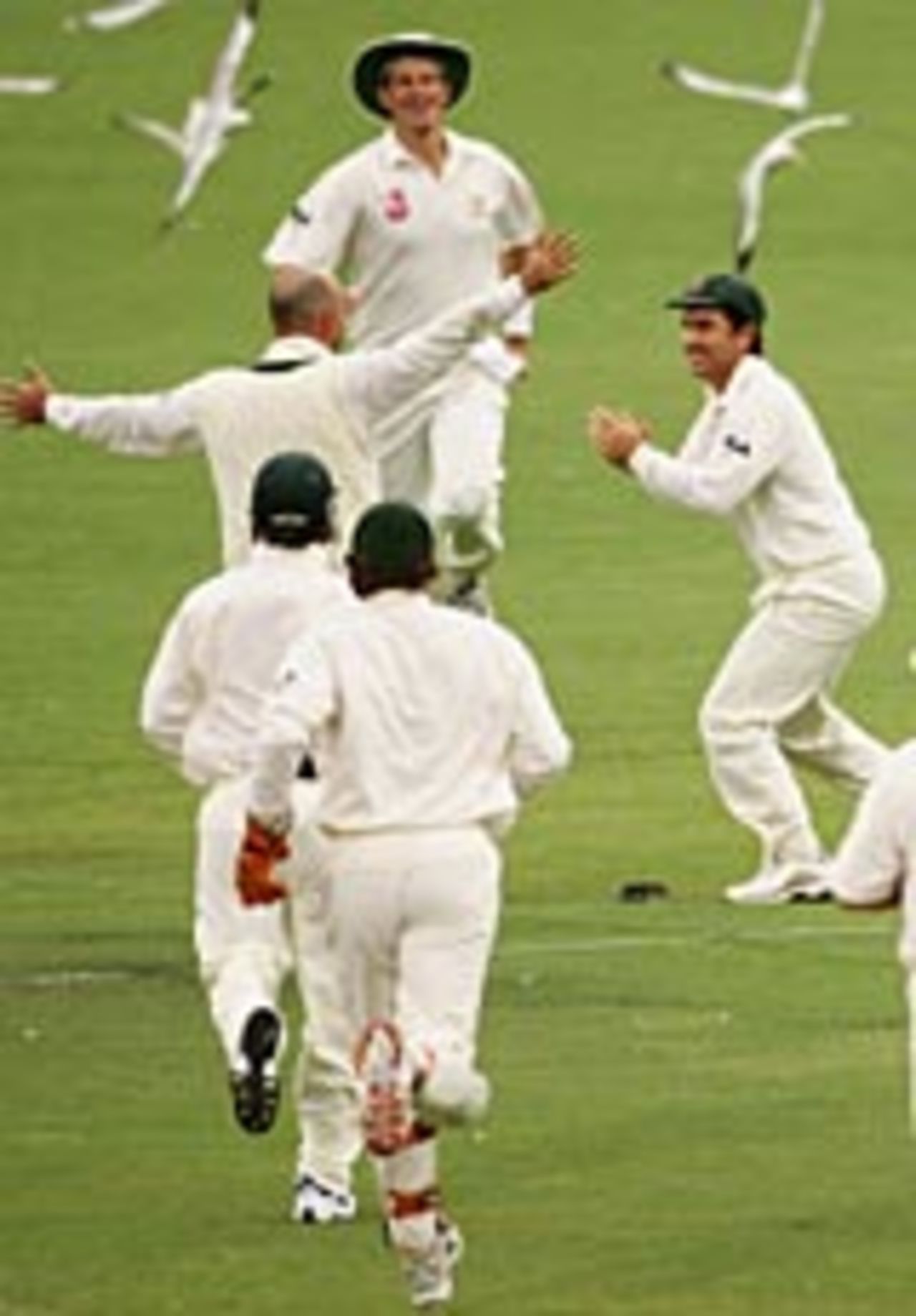Darren Lehmann rushed to congratulate Justin Langer after dismissing Nathan Astle, Australia v New Zealand, 2nd Test, Adelaide, November 29, 2004