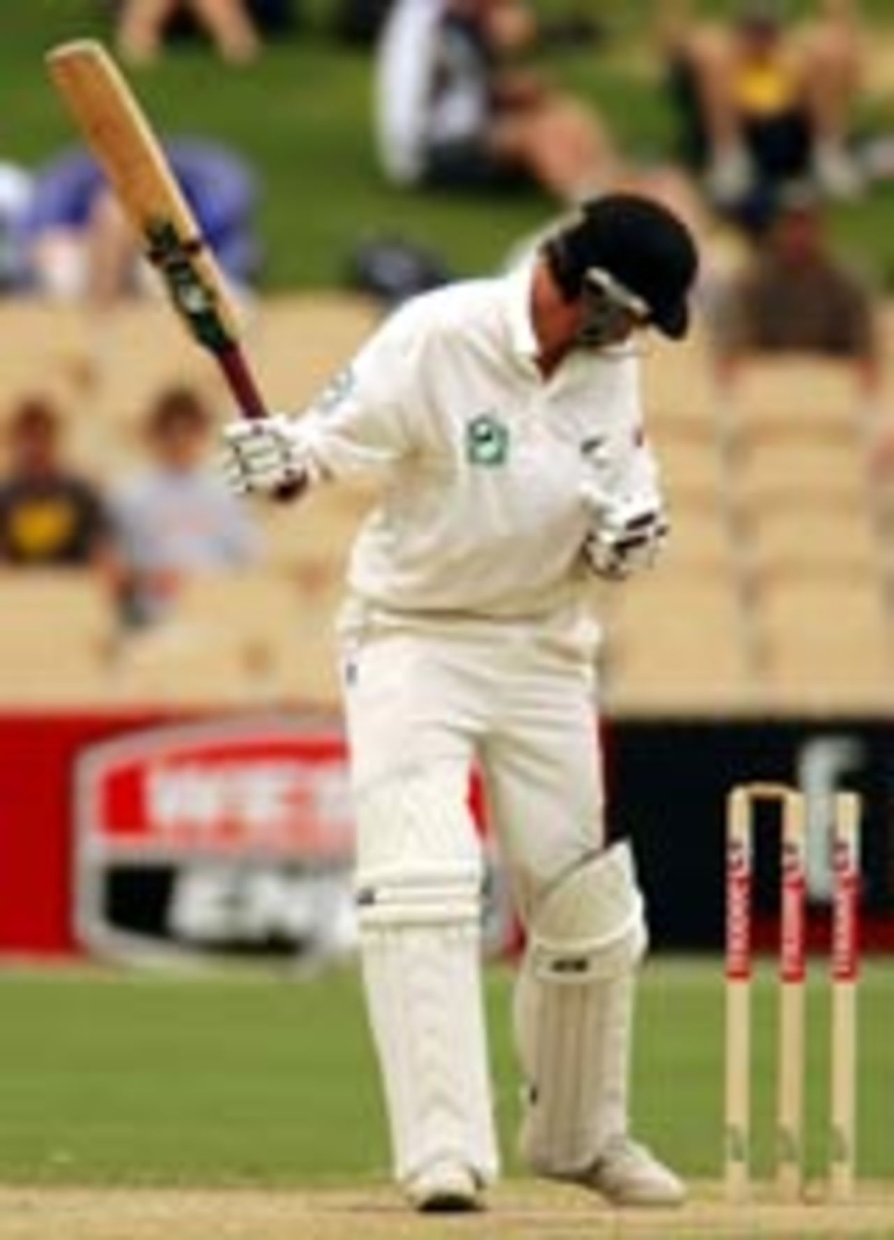 Stephen Fleming inspects the damage after being bowled, Australia v New Zealand, 2nd Test, Adelaide, November 29, 2004