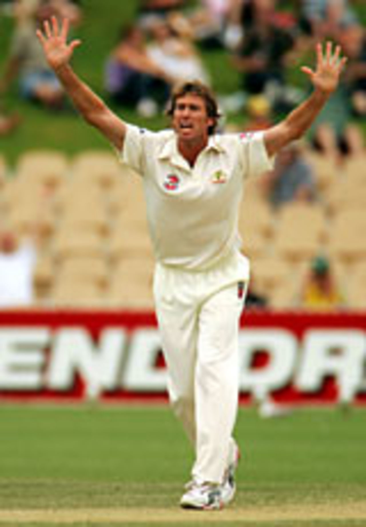 Glenn McGrath appeals, Australia v New Zealand, 2nd Test, Adelaide, November 29, 2004