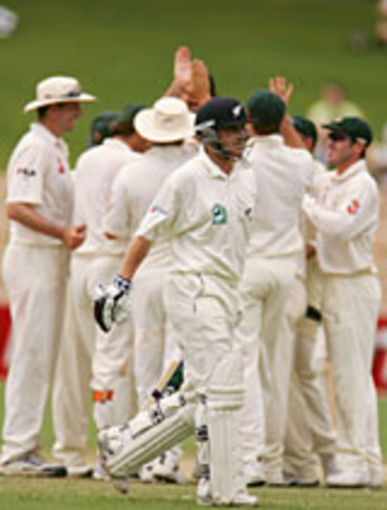 Brendon McCullum departs, Australia v New Zealand, 2nd Test, Adelaide, November 30, 2004