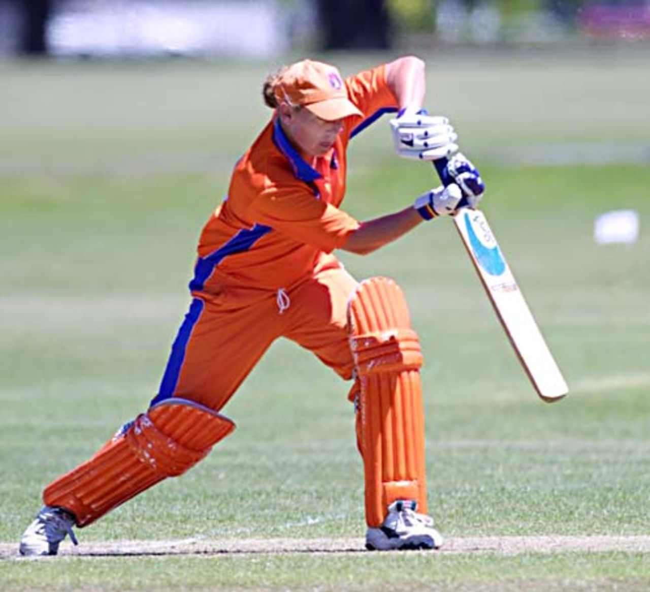 4 Dec 2000: Netherlands v South Africa, CricInfo Women's World Cup 2000 played at Hagley Park no.2, Christchurch