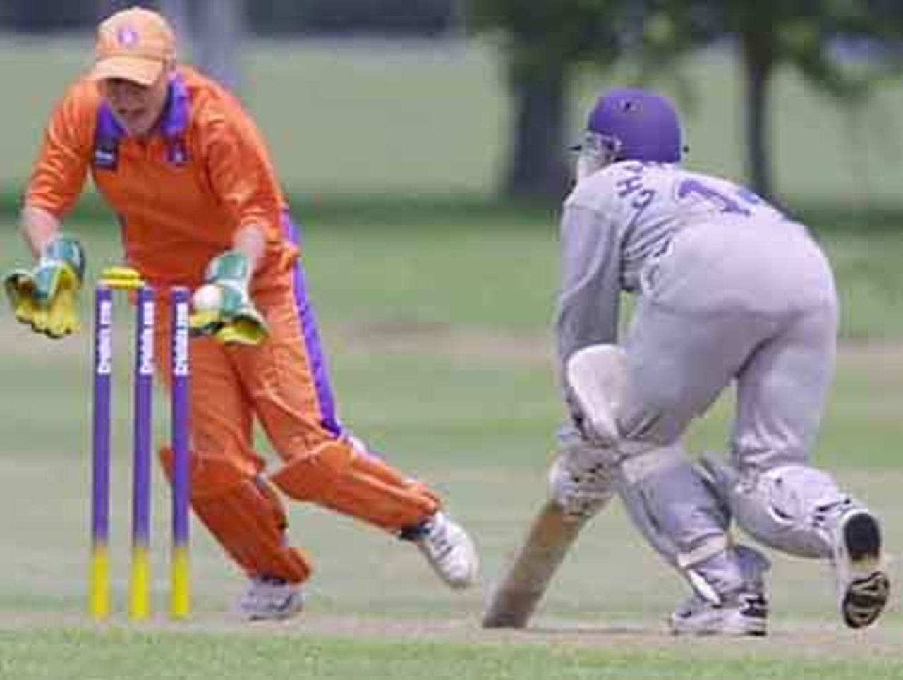 Sri Lanka v Holland in the 2000 CricInfo Women's World Cup ,  played at Hagley Park Christchurch, 10th December