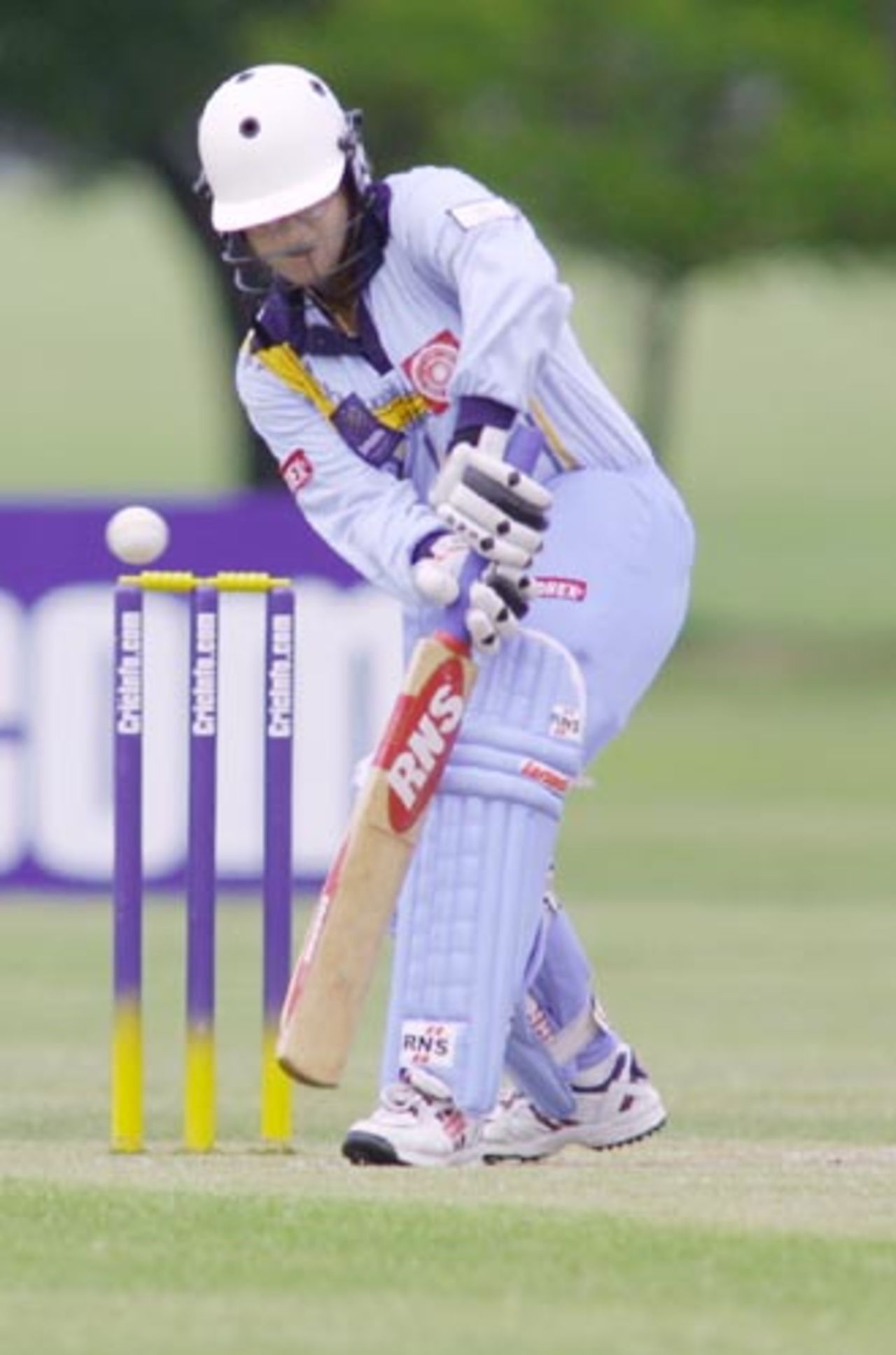 7 Dec: India v Ireland, CricInfo Women's World Cup match played at Hagley Oval, Christchurch