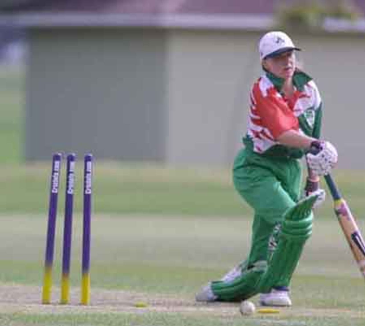 Ireland v India at the 2000 Women's World Cup , played at the Hagley Oval ,11th December