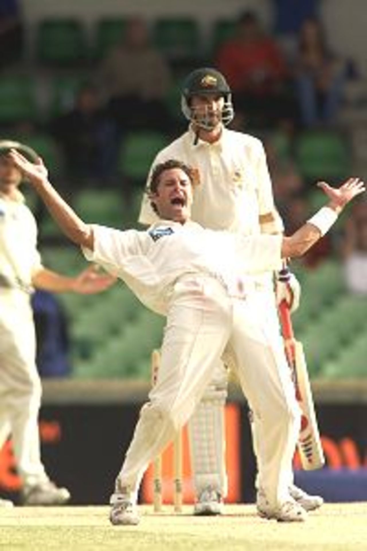 4 Dec 2001: Chris Carins of New Zealand pleads for the wicket of Jason Gillespie of Australia, caught behind, but the umpire's ruling was not out, during day five of the Third Test between Australia and New Zealand, played at The WACA, Perth, Australia.