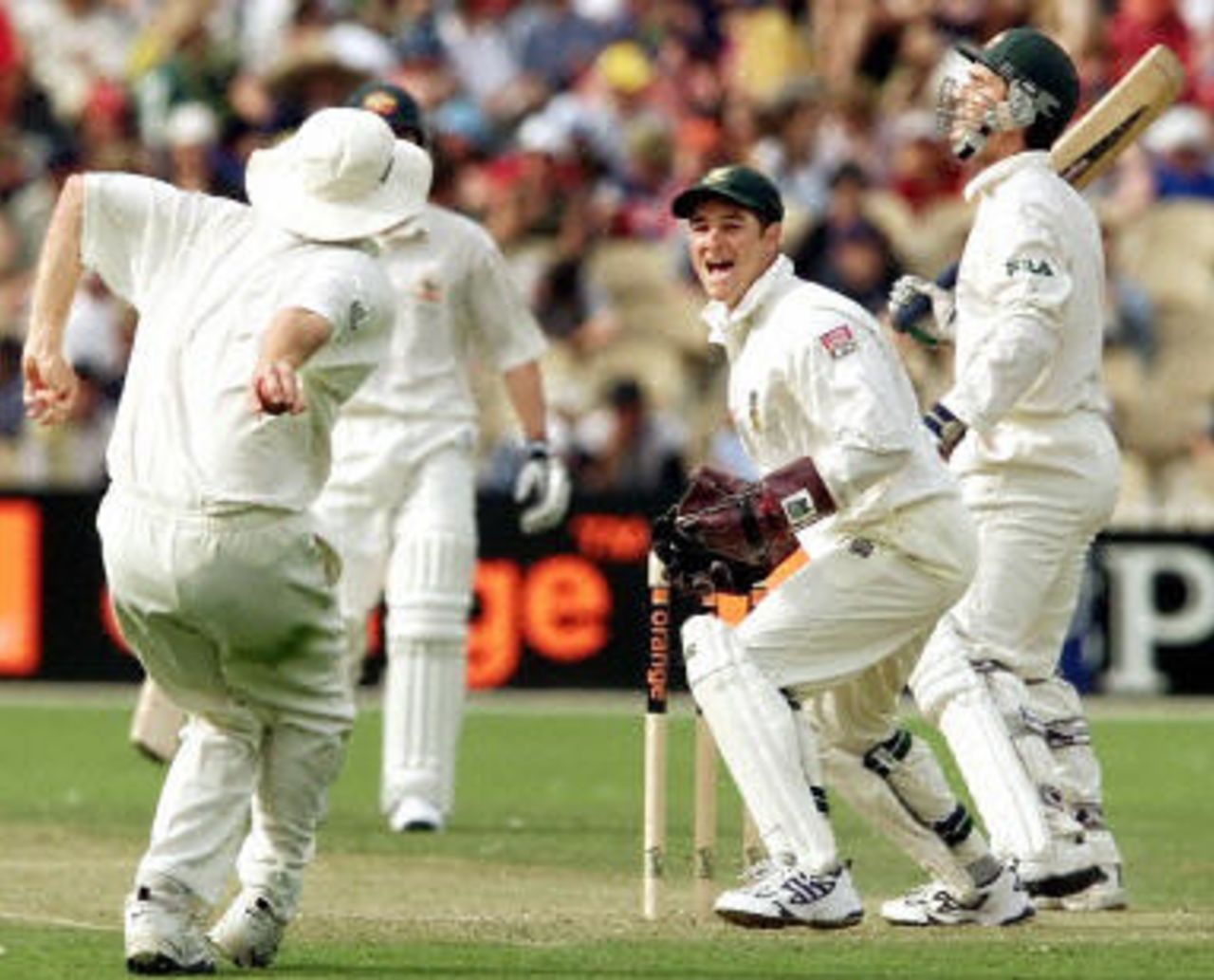 Australia v South Africa, Mandela Trophy, 1st Test, 2001-02, Adelaide