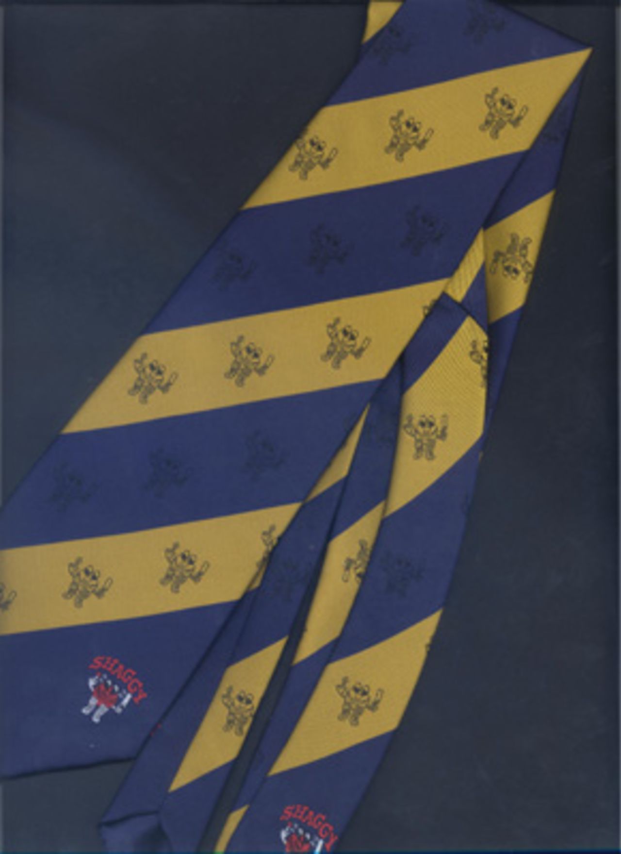 Shaun Udal Striped benefit tie