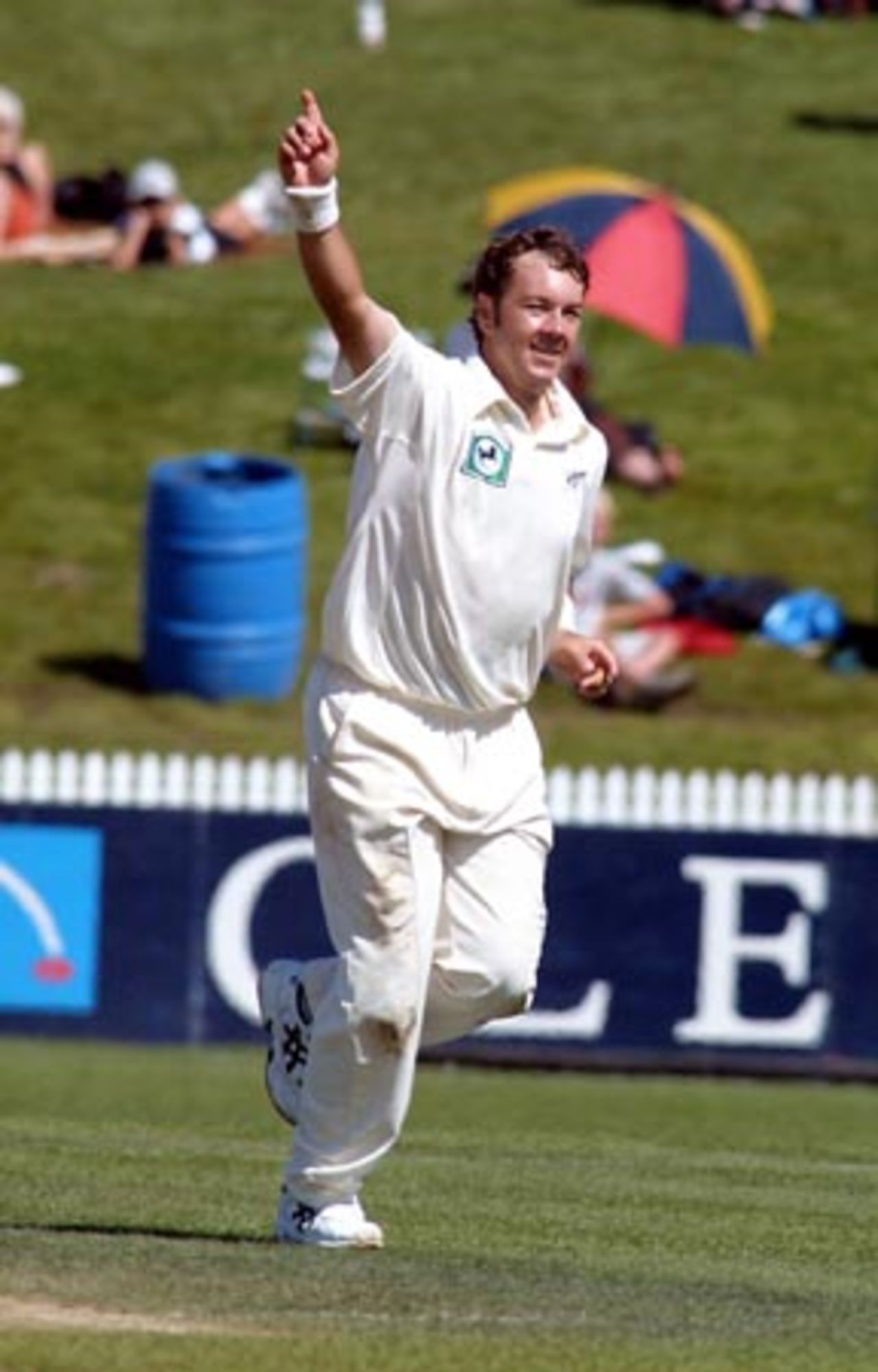 New Zealand bowler Craig McMillan celebrates the dismissal of Bangladesh batsman Sanwar Hossain, caught in the gully by Lou Vincent for 45 in his first innings. 1st Test: New Zealand v Bangladesh at WestpacTrust Park, Hamilton, 18-22 Dec 2001 (21 December 2001).