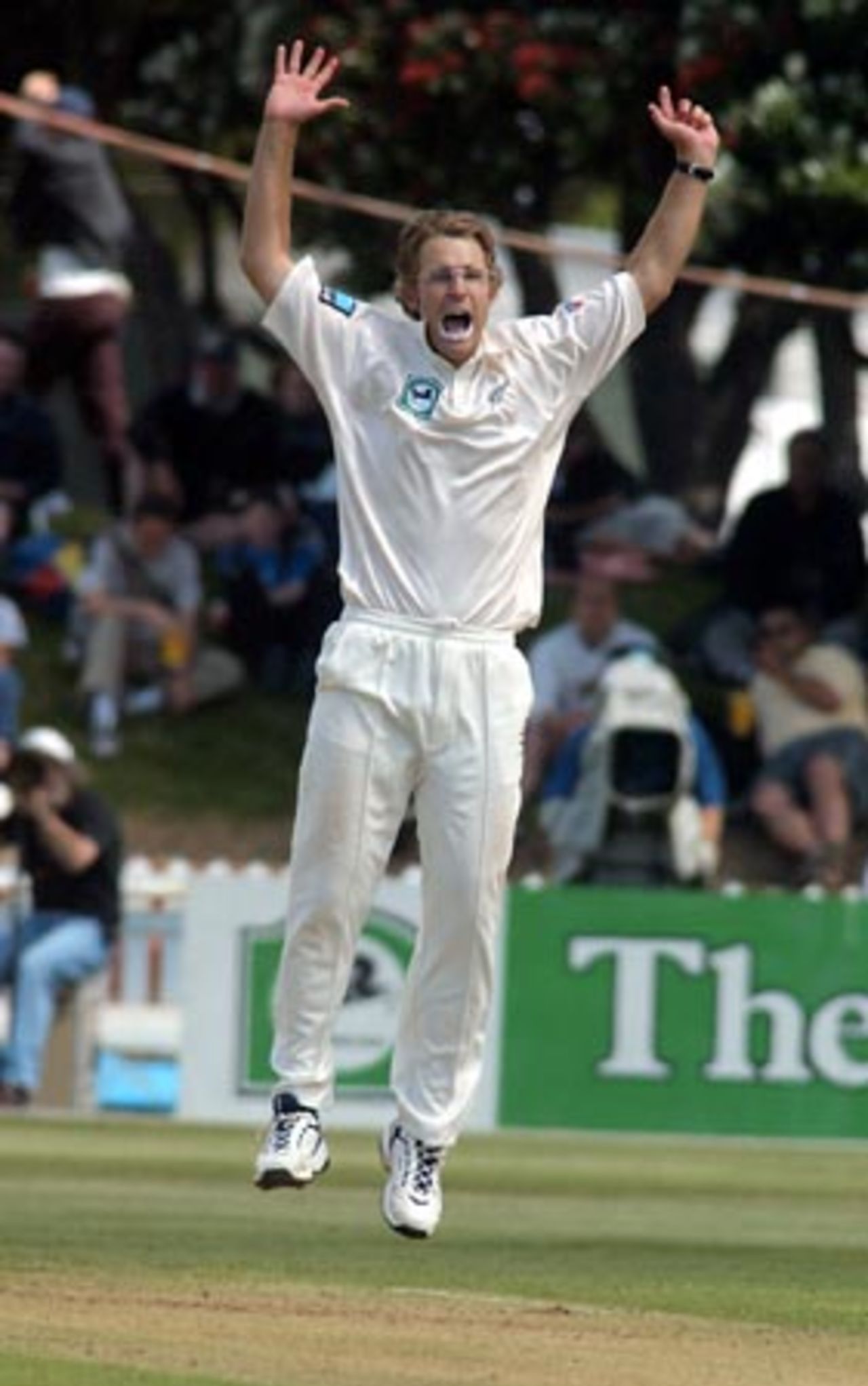 New Zealand bowler Daniel Vettori unsucessfully appeals for the dismissal of Bangladesh batsman Sanwar Hossain. 2nd Test: New Zealand v Bangladesh at Basin Reserve, Wellington, 26-30 Dec 2001 (26 December 2001).