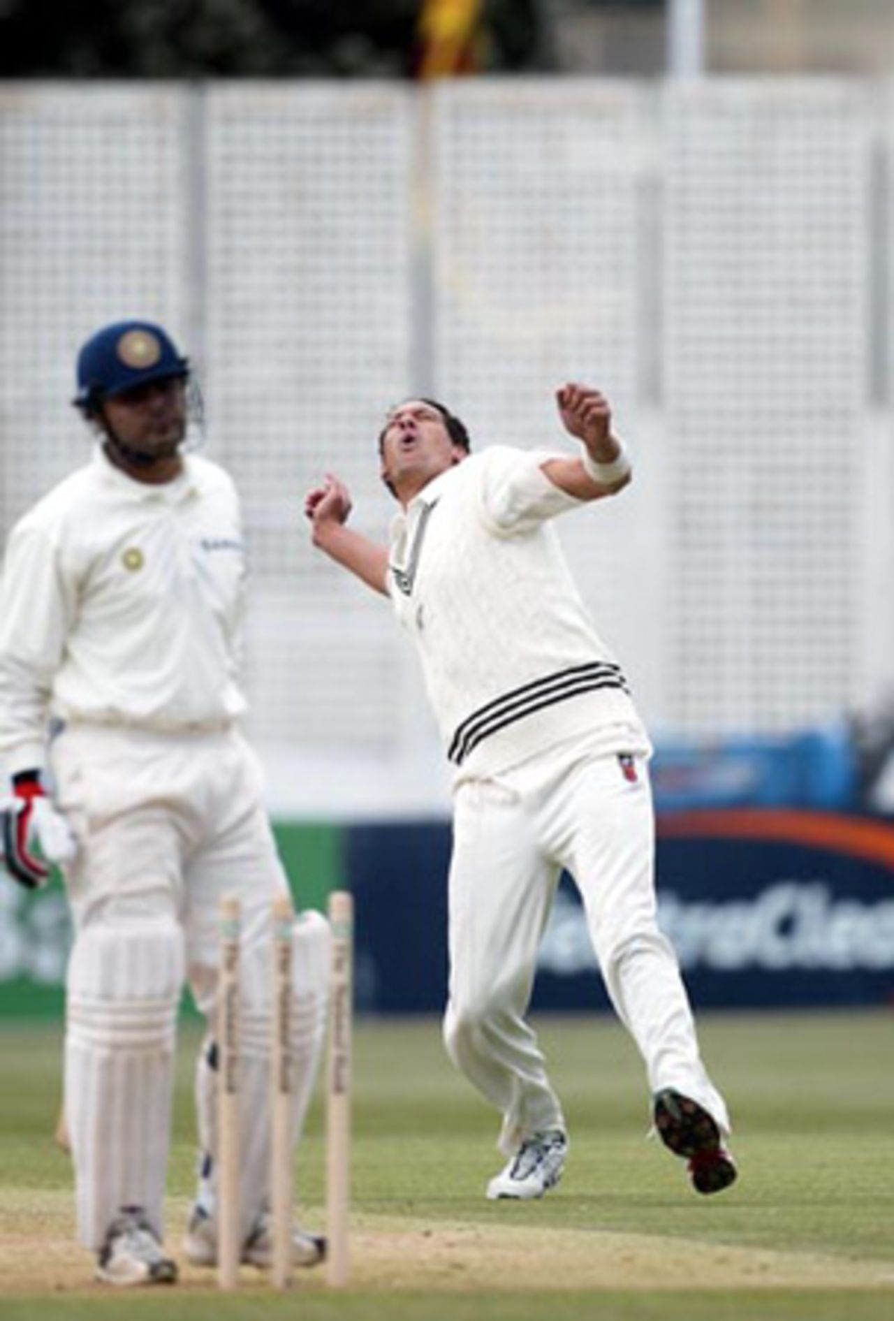 New Zealand bowler Daryl Tuffey celebrates the dismissal of Indian batsman Virender Sehwag, bowled for two. 1st Test: New Zealand v India at Basin Reserve, Wellington, 12-16 December 2002 (12 December 2002).