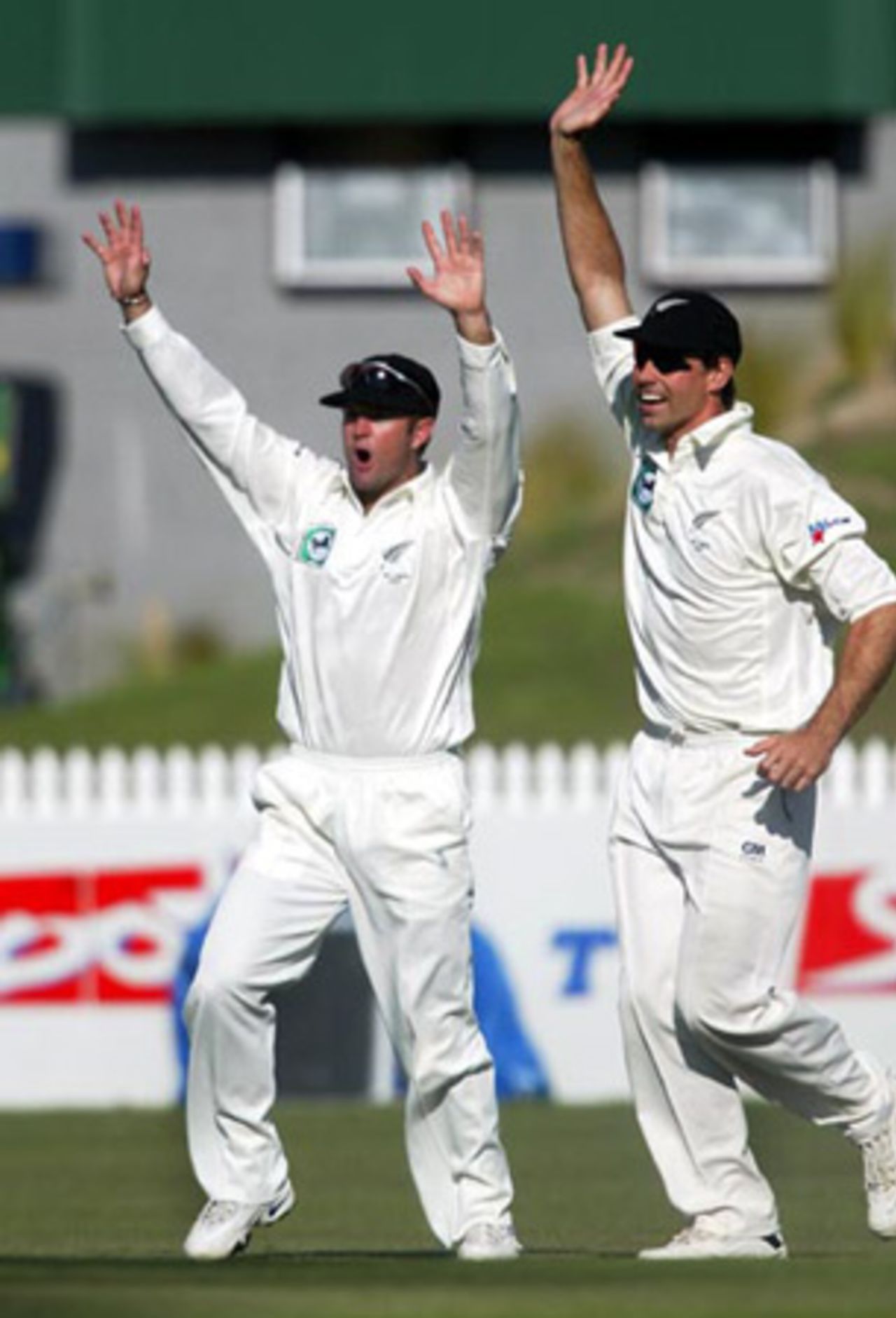New Zealand slip fielders Nathan Astle (left) and Stephen Fleming celebrate the dismissal of India batsman Rahul Dravid, caught by wicket-keeper Robbie Hart off the bowling of Daryl Tuffey for nine. 2nd Test: New Zealand v India at Westpac Park, Hamilton, 19-23 December 2002 (20 December 2002).