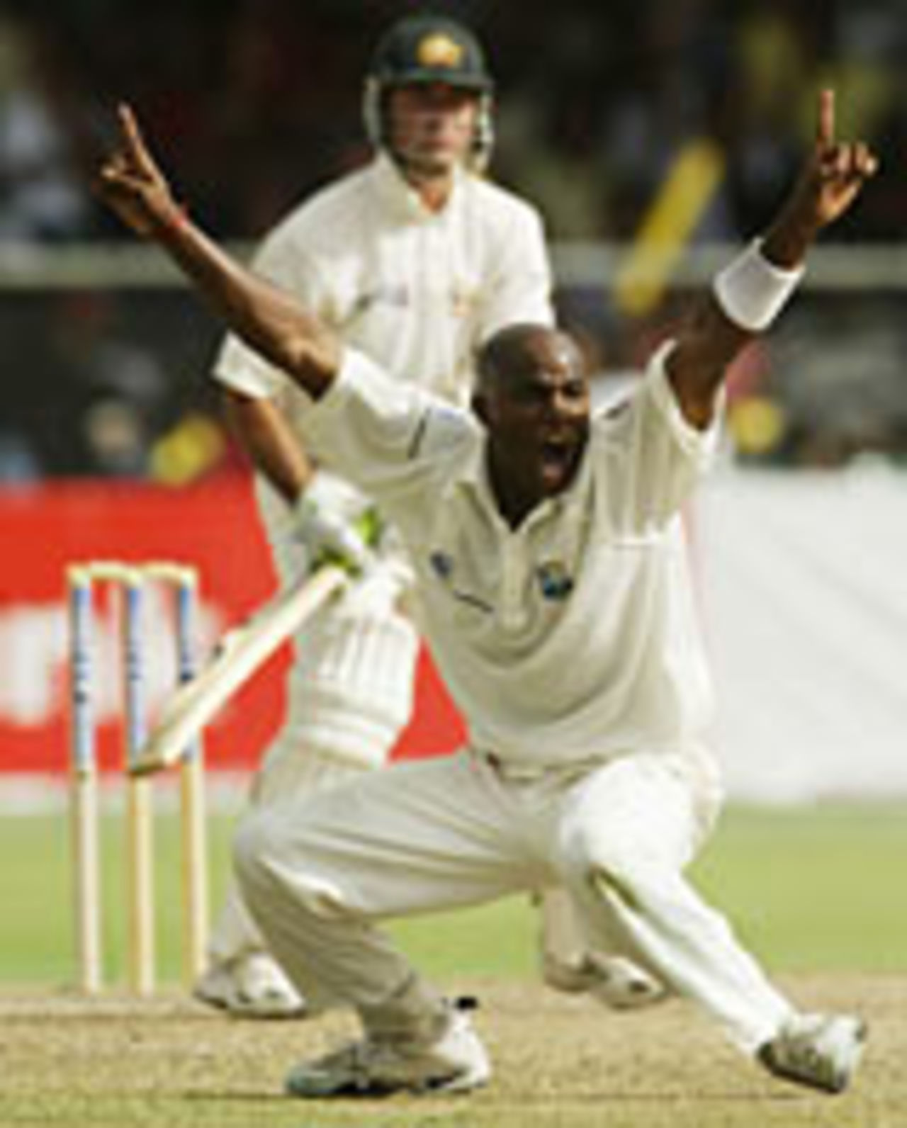 Tino Best appeals, West Indies v Australia, Bridgetown, 3rd Test, May 1, 2003