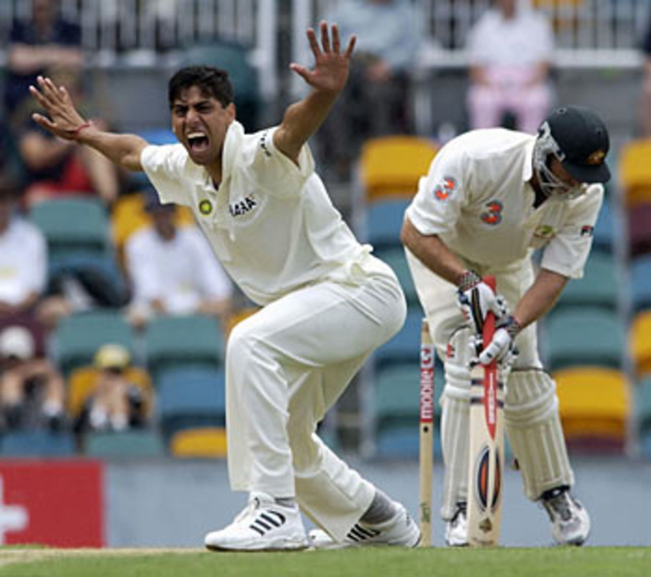 Ashish Nehra appeals in vain against Matthew Hayden , Australia v India, Brisbane, 1st Test, December 4 2003