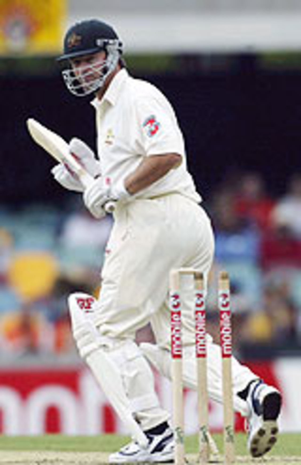Steve Waugh dislodges a bail, Australia v India, 1st Test, Brisbane, 2nd day, December 5, 2003