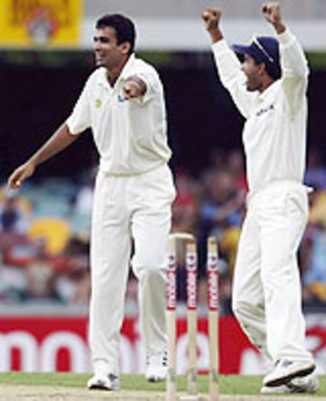 Zaheer Khan rejoices as he realises Steve Waugh is out hit-wicket, Australia v India, 1st Test, Brisbane, 2nd day, December 5, 2003
