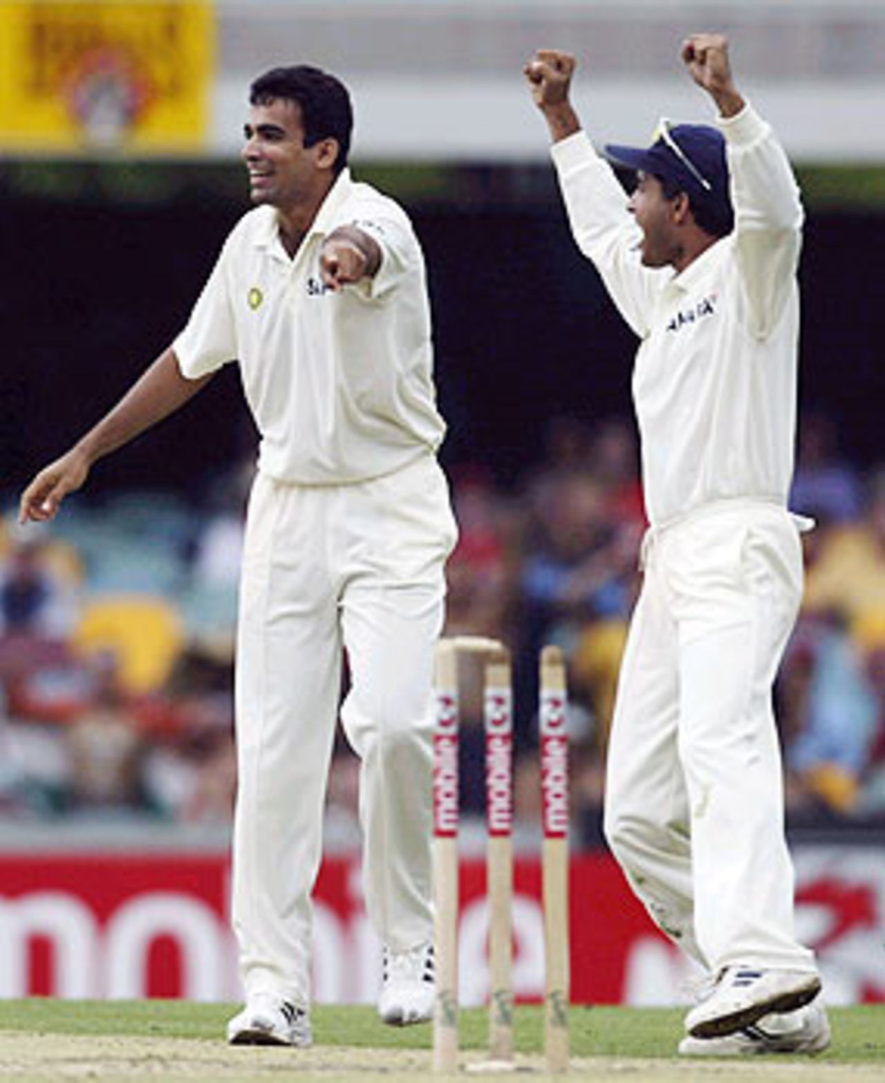 Look ma, no bail! Zaheer Khan rejoices as he realises Steve Waugh is out hit-wicket, Australia v India, 1st Test, Brisbane, 2nd day, December 5, 2003