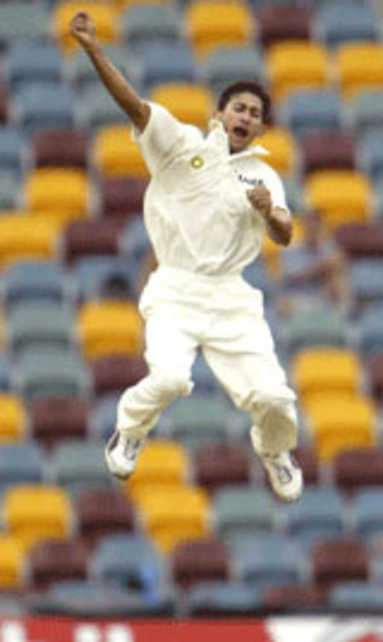 Ajit Agarkar celebrates the dismissal of Andy Bichel, Australia v India, 1st Test, Brisbane, 2nd day, December 5, 2003