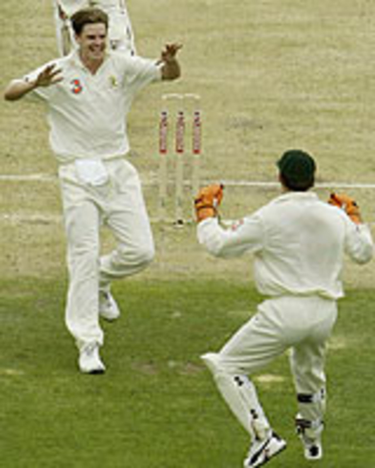 My first time! Nathan Bracken rushes to Adam Gilchrist after picking up his first Test wicket, that of Virender Sehwag, Australia v India, 1st Test, Brisbane, 4th day, December 7, 2003