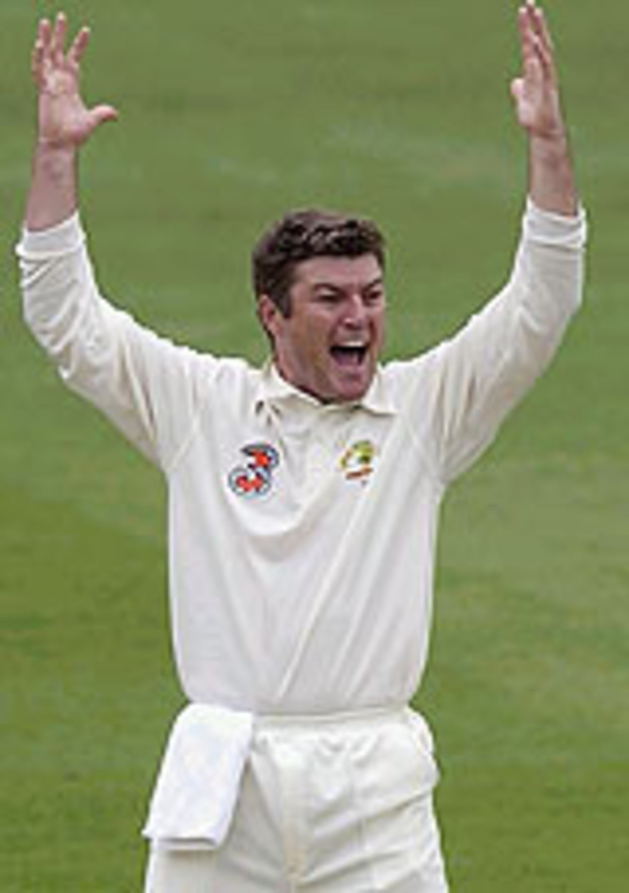 Stuart MacGill exults, Australia v India, 1st Test, Brisbane, 4th day, December 7, 2003
