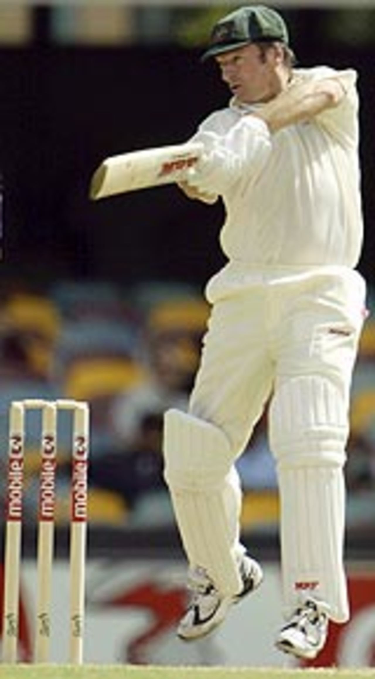 Steve Waugh cuts, Australia v India, 1st Test, Brisbane, 5th day, December 8, 2003
