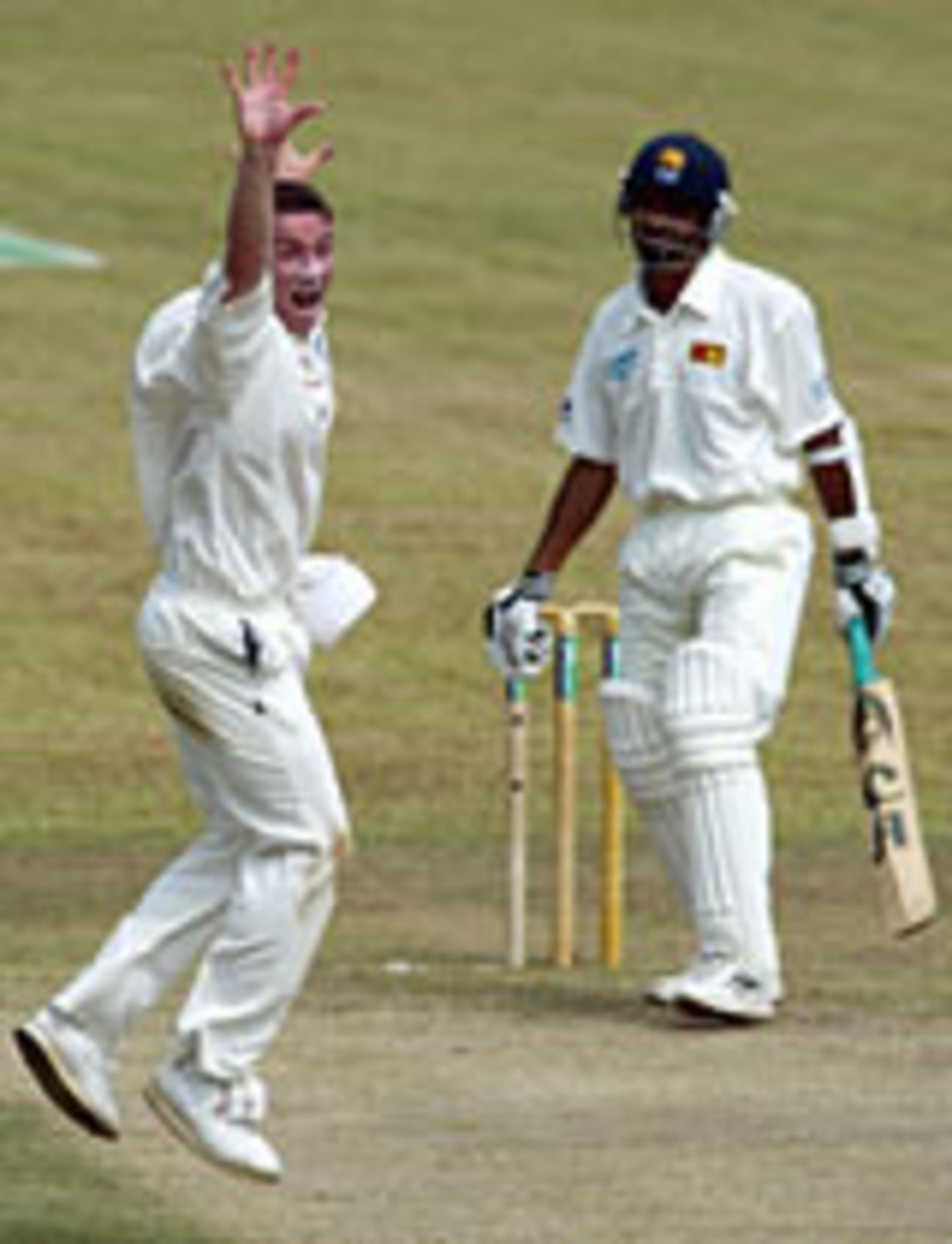 James Kirtley traps Marvan Atapattu leg-before for 11, Sri Lanka v England, 2ns Test, Galle, December 10, 2003