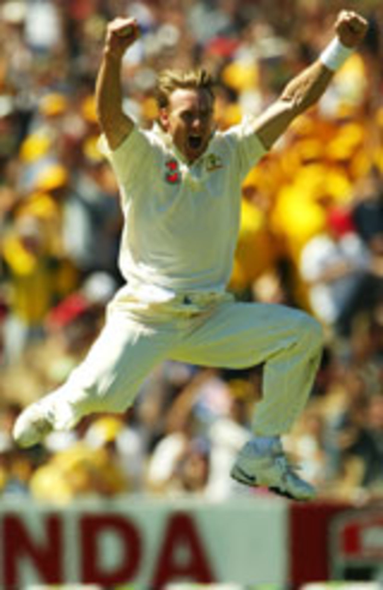 Bichel is ecstatic after dismissing Virender Sehwag, Australia v India, 2nd Test, Adelaide, 2nd day, December 13, 2003