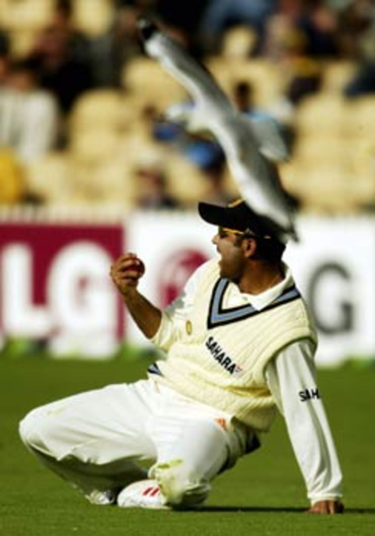 Sehwag's diving catch to remove Katich brought some joy to the Indians, Australia v India, 2nd Test, Adelaide, 1st day, December 12, 2003