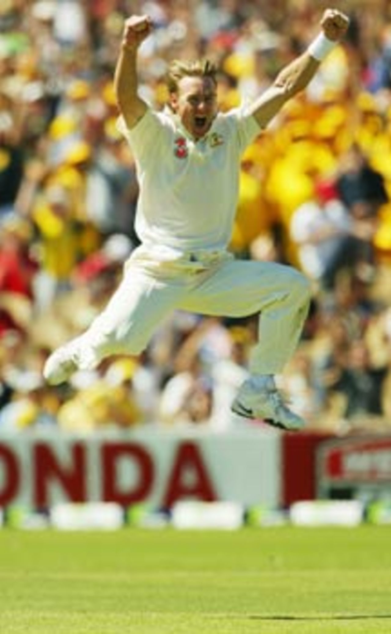 Bichel leaps for joy as he gets among the wickets, Australia v India, 2nd Test, Adelaide, 2nd day, December 13, 2003