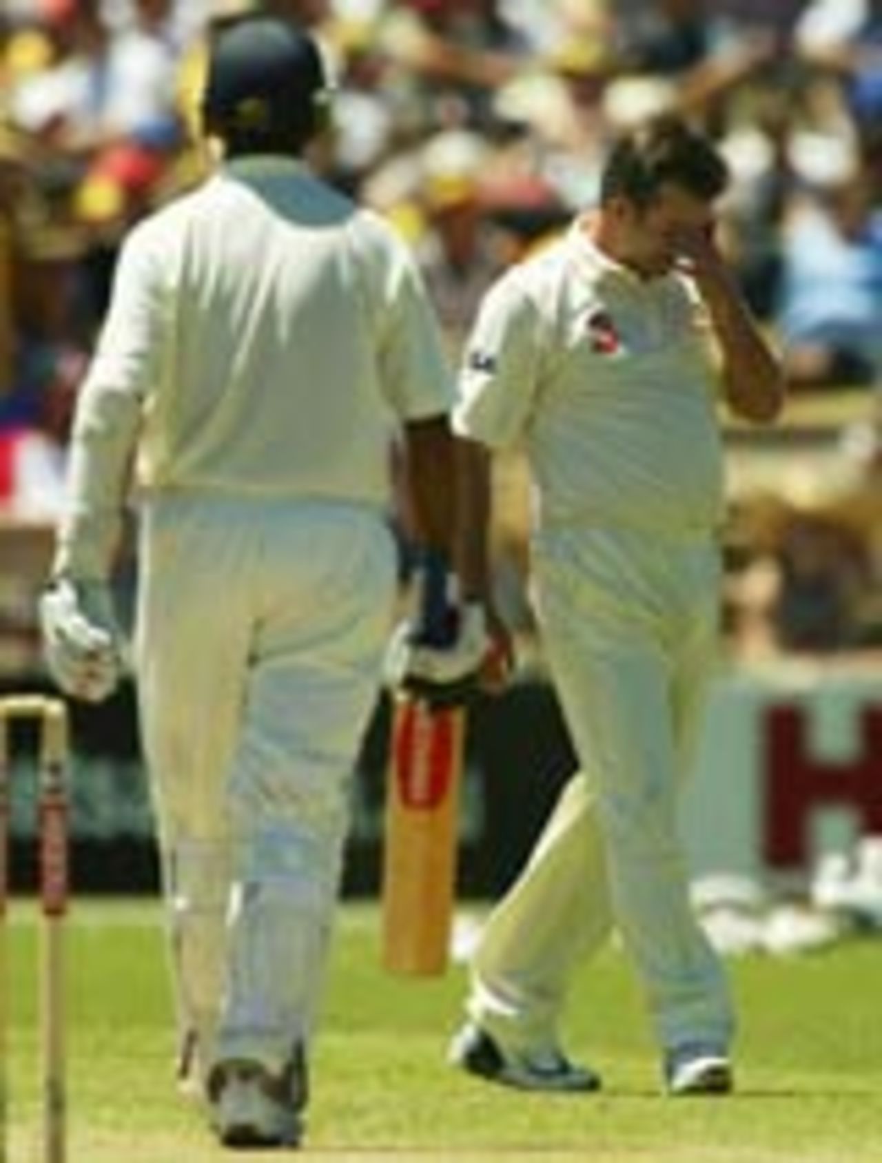 Steve Waugh feels the heat, Australia v India, 2nd Test, Adelaide, 3rd day, December 14, 2003