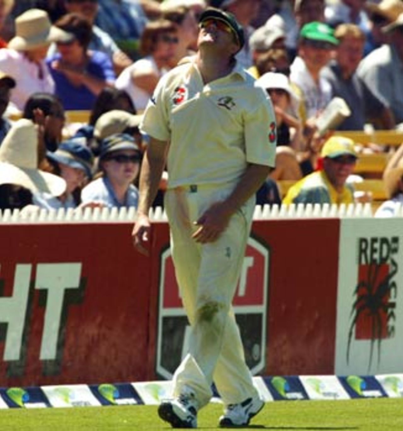 Things got worse for Australia as Williams injured his shoulder and left the field, Australia v India, 2nd Test, Adelaide, 3rd day, December 14, 2003