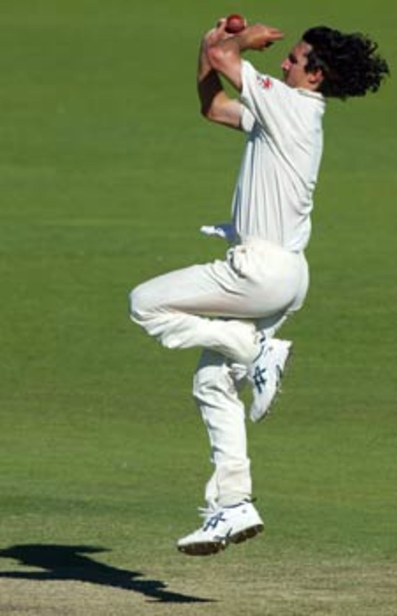 Gillespie charged in and gave his best, but it was not enough, Australia v India, 2nd Test, Adelaide, 3rd day, December 14, 2003