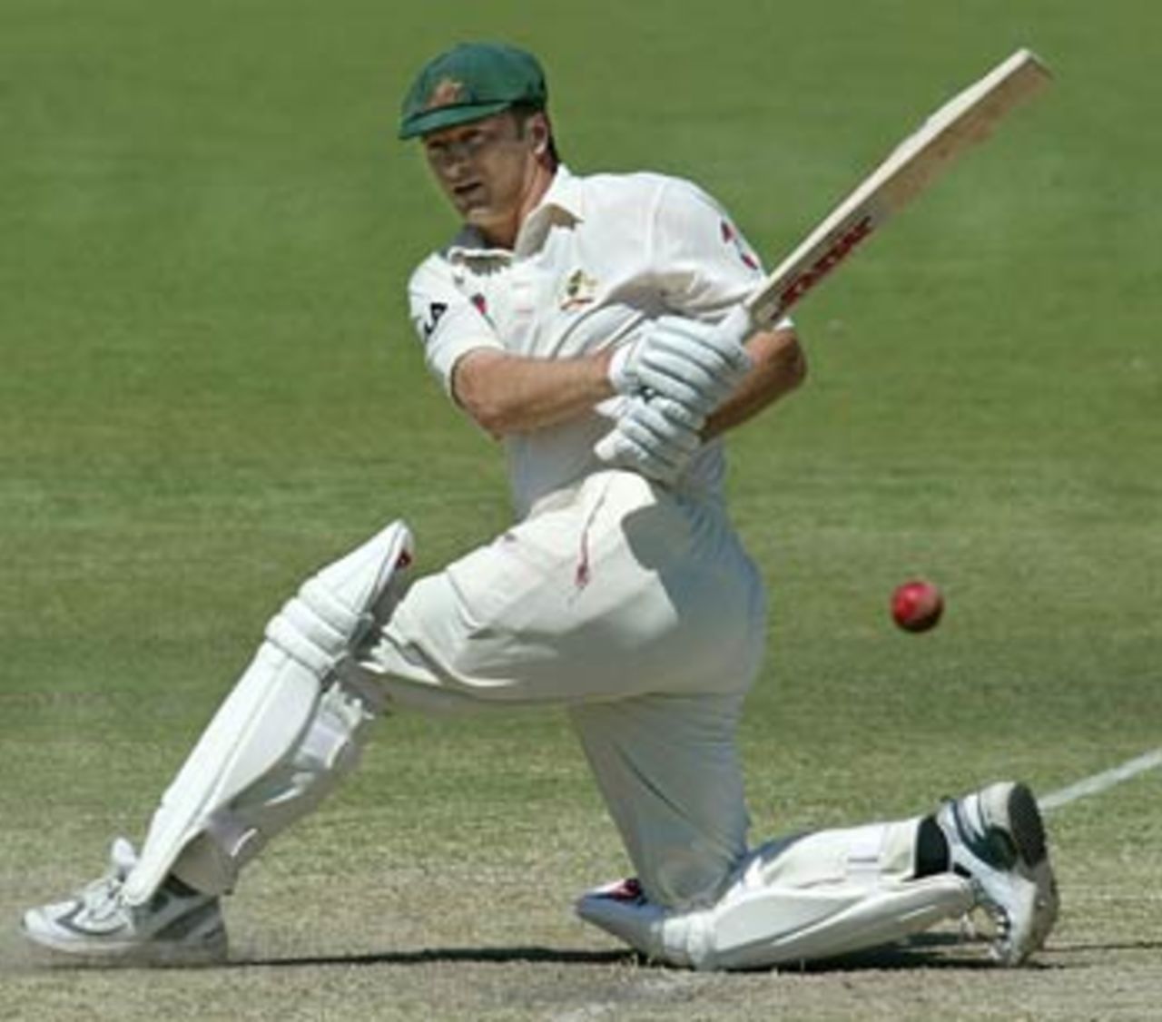 Waugh played a few forceful shots ... Australia v India, 2nd Test, Adelaide, 4th day, December 15, 2003