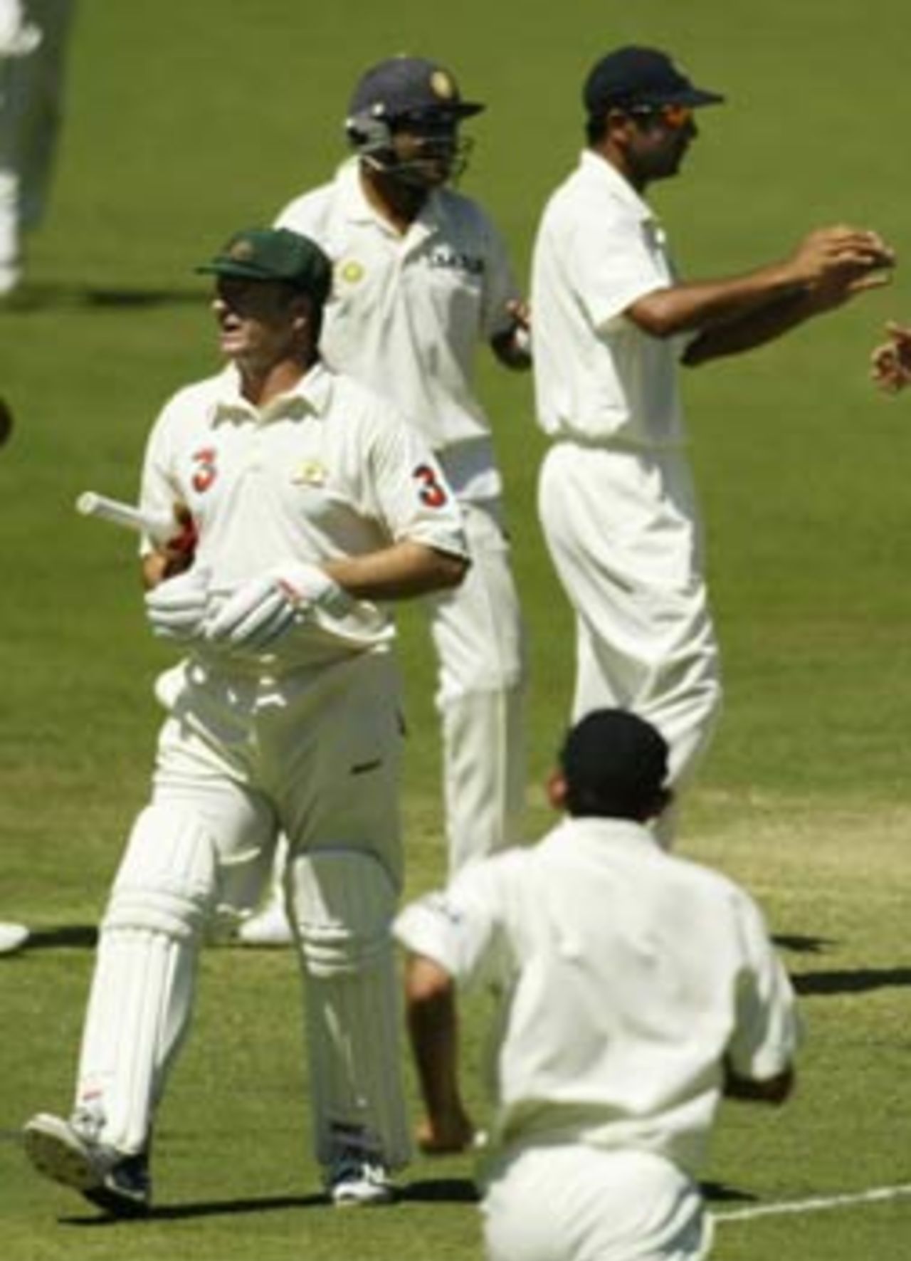 All India celebrated when Waugh was dismissed, Australia v India, 2nd Test, Adelaide, 4th day, December 15, 2003