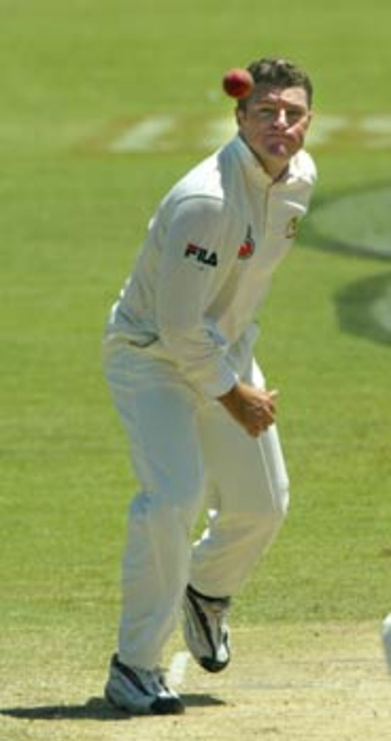 MacGill gave the ball a rip ... Australia v India, 2nd Test, Adelaide, 5th day, December 16, 2003