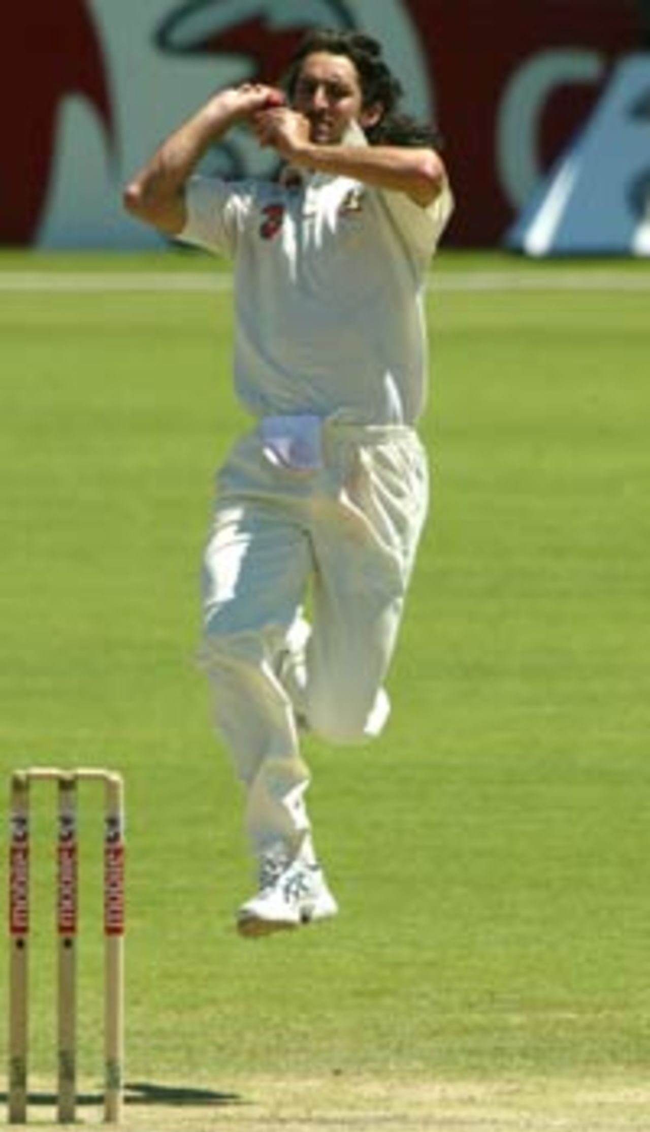 Gillespie steamed in and bowled, Australia v India, 2nd Test, Adelaide, 5th day, December 16, 2003